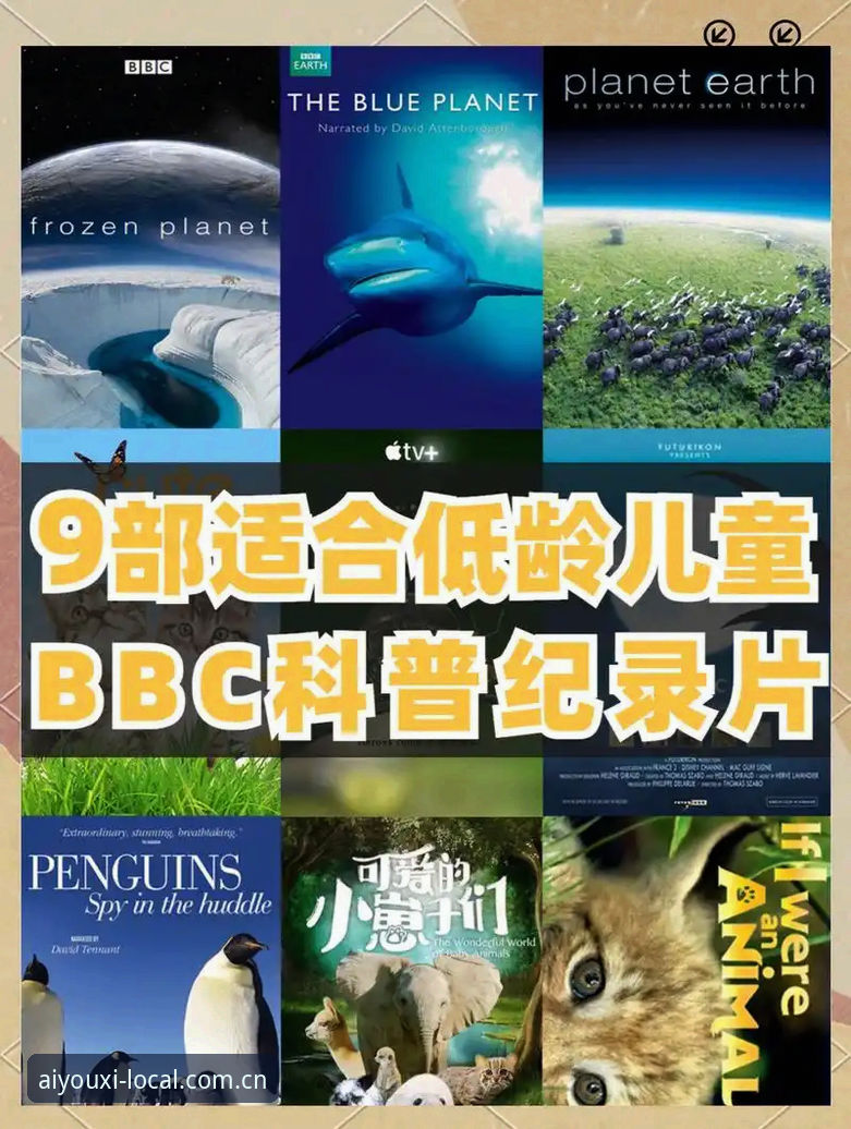 爱游戏官网中国坐标2026新版功能详解 读懂索斯盖特新纪录片:一位老用户对“男性圈层”话题的避坑观片指南